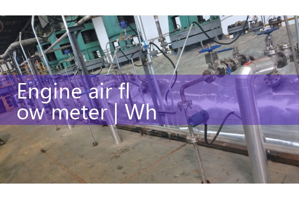 Engine air flow meter
